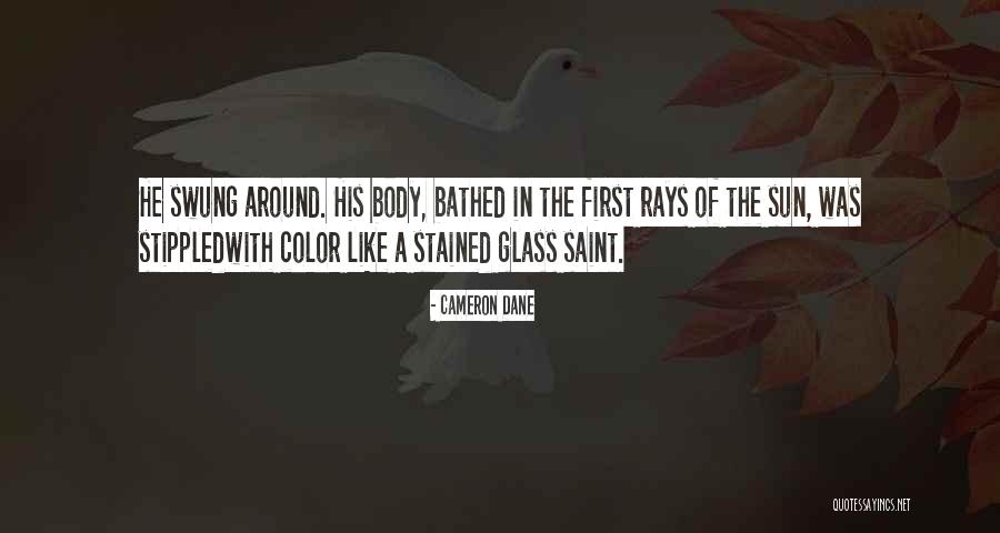 A Picture Symbolizing Life Quotes By Cameron Dane A Picture Symbolizing Life Quotes By Cameron Dane