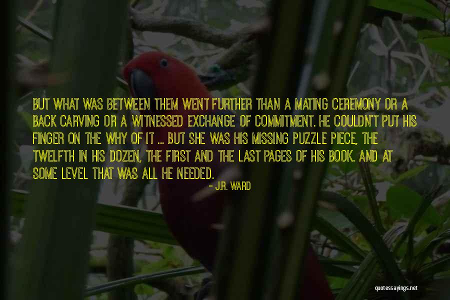 A Piece Missing Quotes By J.R. Ward