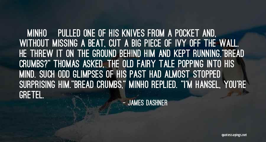 A Piece Missing Quotes By James Dashner