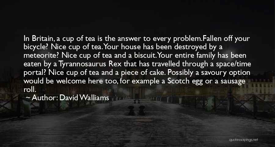 A Piece Of Cake Quotes By David Walliams