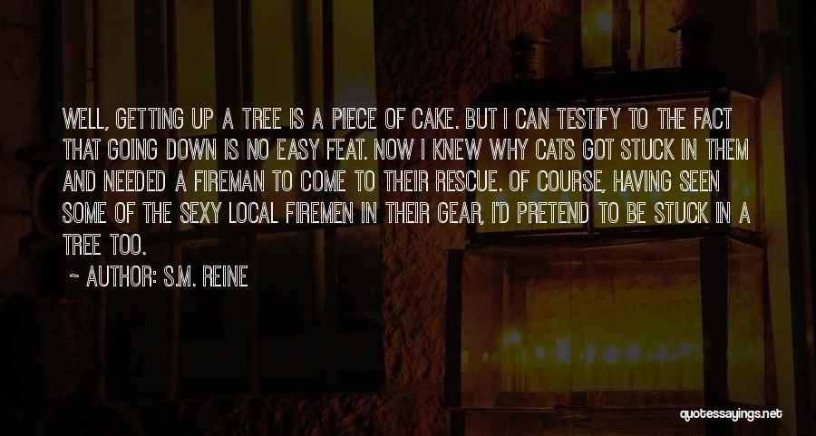 A Piece Of Cake Quotes By S.M. Reine
