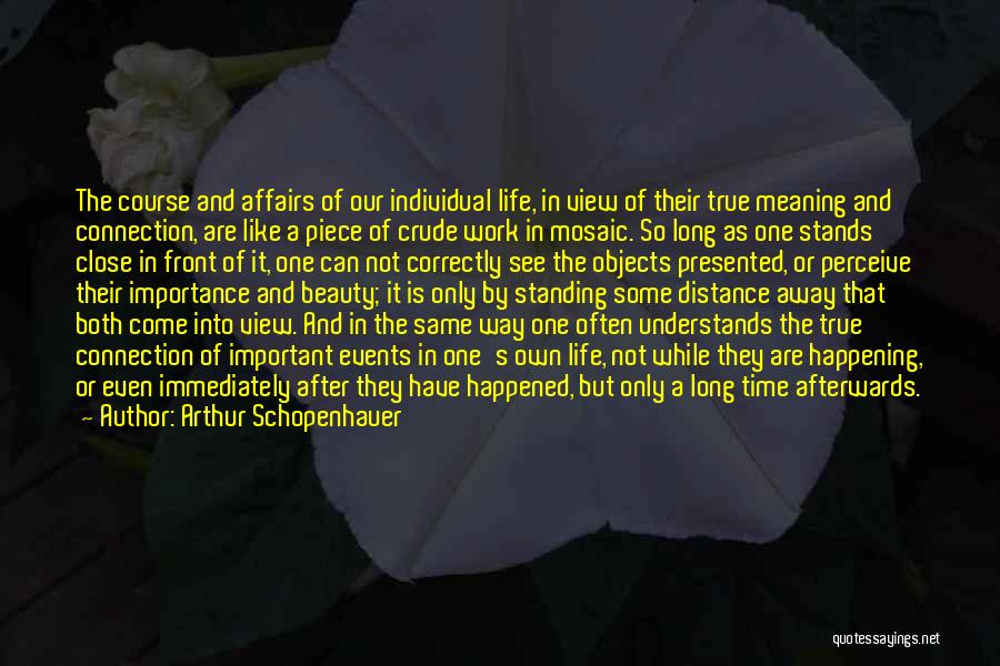 A Piece Of Work Quotes By Arthur Schopenhauer