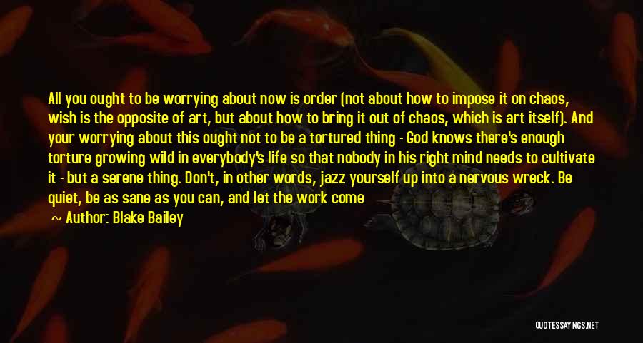 A Piece Of Work Quotes By Blake Bailey