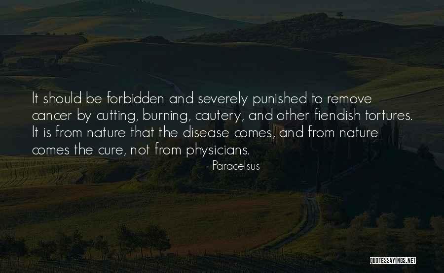 A Pirate Looks At 60 Quotes By Paracelsus A Pirate Looks At 60 Quotes By Paracelsus