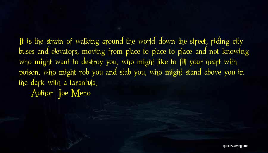 A Place In Your Heart Quotes By Joe Meno