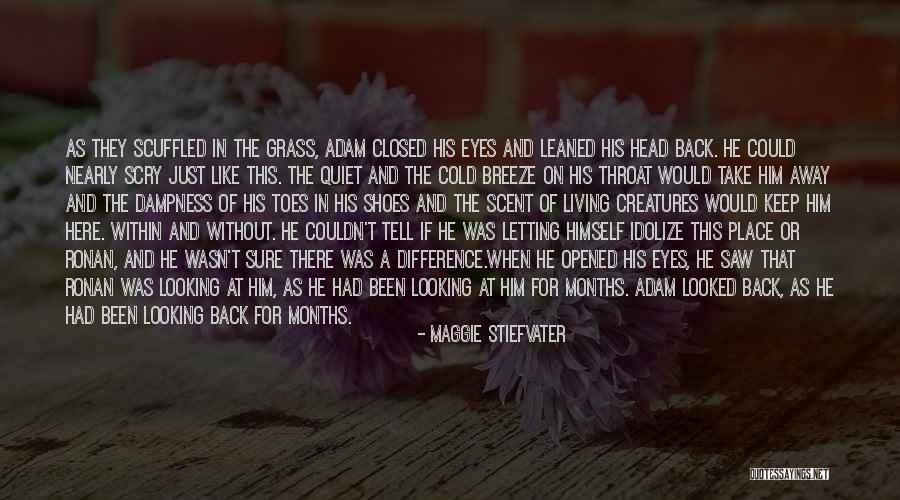A Place Like This Quotes By Maggie Stiefvater A Place Like This Quotes By Maggie Stiefvater