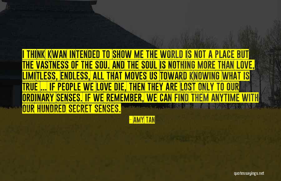 A Place To Remember Quotes By Amy Tan