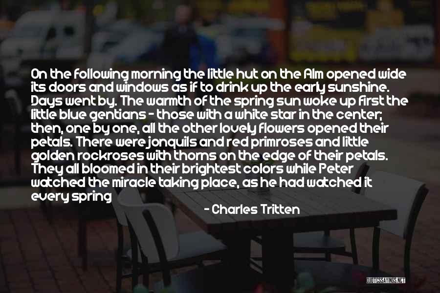 A Place To Remember Quotes By Charles Tritten