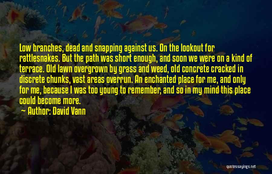 A Place To Remember Quotes By David Vann