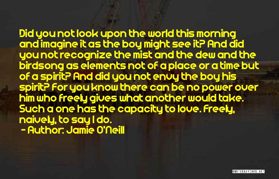 A Place You Love Quotes By Jamie O'Neill