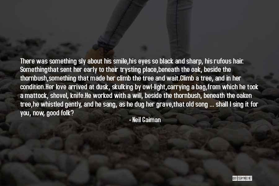 A Place You Love Quotes By Neil Gaiman