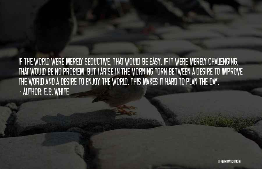 A Plan B Quotes By E.B. White A Plan B Quotes By E.B. White