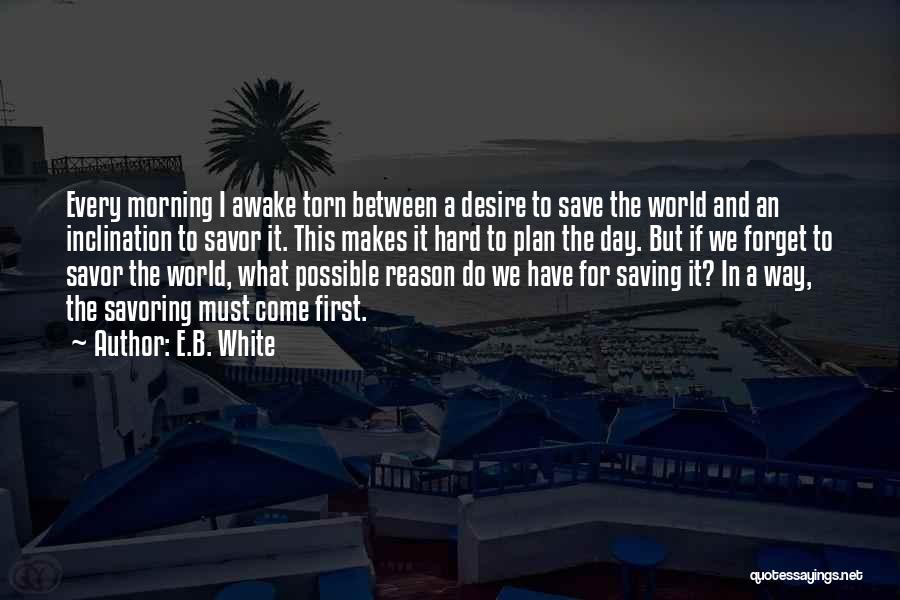 A Plan B Quotes By E.B. White A Plan B Quotes By E.B. White