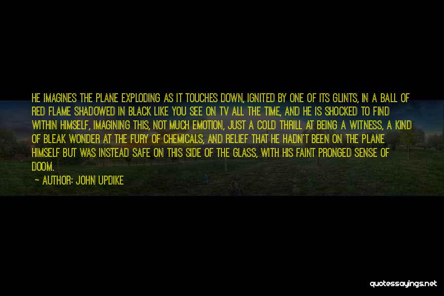 A Plane Quotes By John Updike