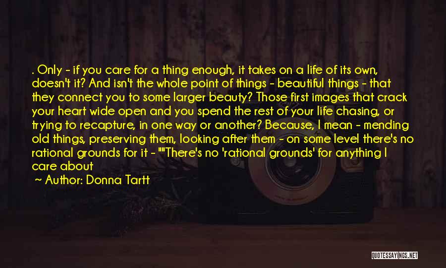 A Point In Your Life Quotes By Donna Tartt