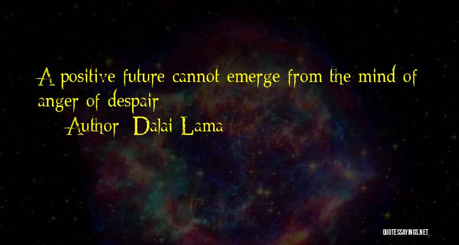 A Positive Future Quotes By Dalai Lama