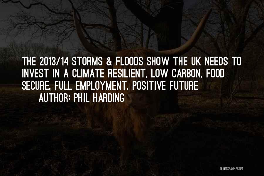 A Positive Future Quotes By Phil Harding