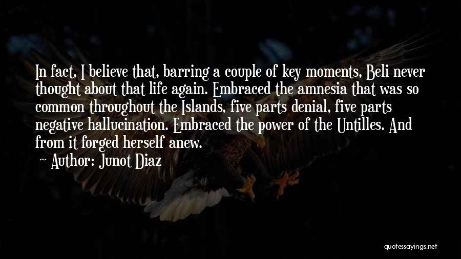 A Power Couple Quotes By Junot Diaz