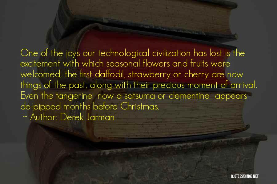 A Precious Moment Quotes By Derek Jarman