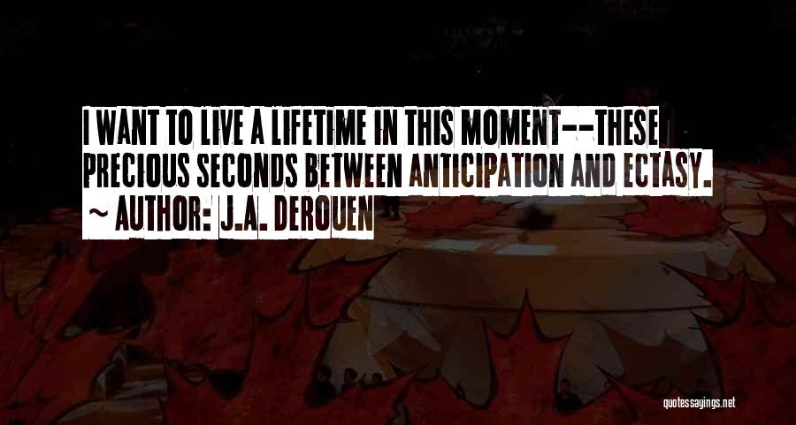 A Precious Moment Quotes By J.A. DeRouen