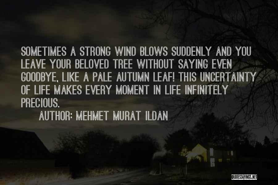 A Precious Moment Quotes By Mehmet Murat Ildan