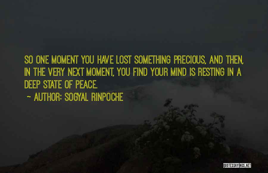 A Precious Moment Quotes By Sogyal Rinpoche