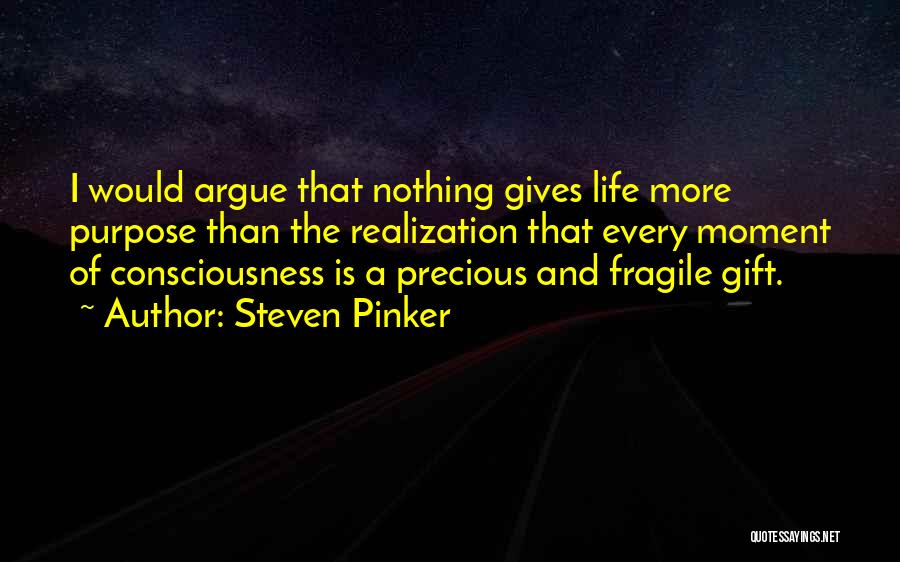 A Precious Moment Quotes By Steven Pinker