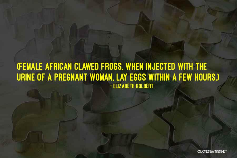 A Pregnant Woman Quotes By Elizabeth Kolbert A Pregnant Woman Quotes By Elizabeth Kolbert