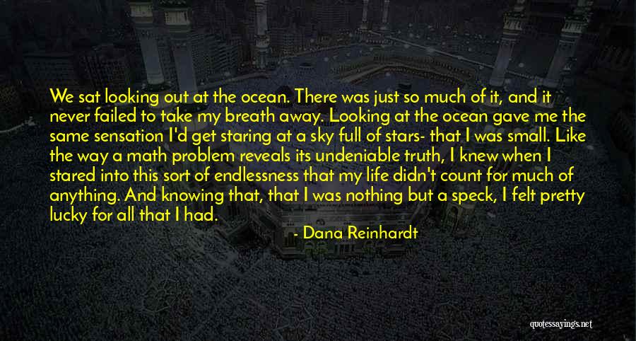 A Pretty Sky Quotes By Dana Reinhardt A Pretty Sky Quotes By Dana Reinhardt