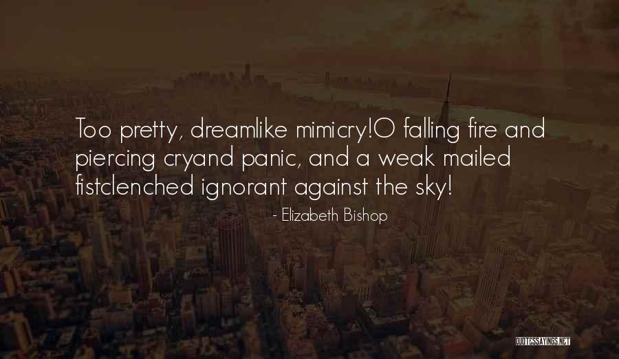 A Pretty Sky Quotes By Elizabeth Bishop A Pretty Sky Quotes By Elizabeth Bishop