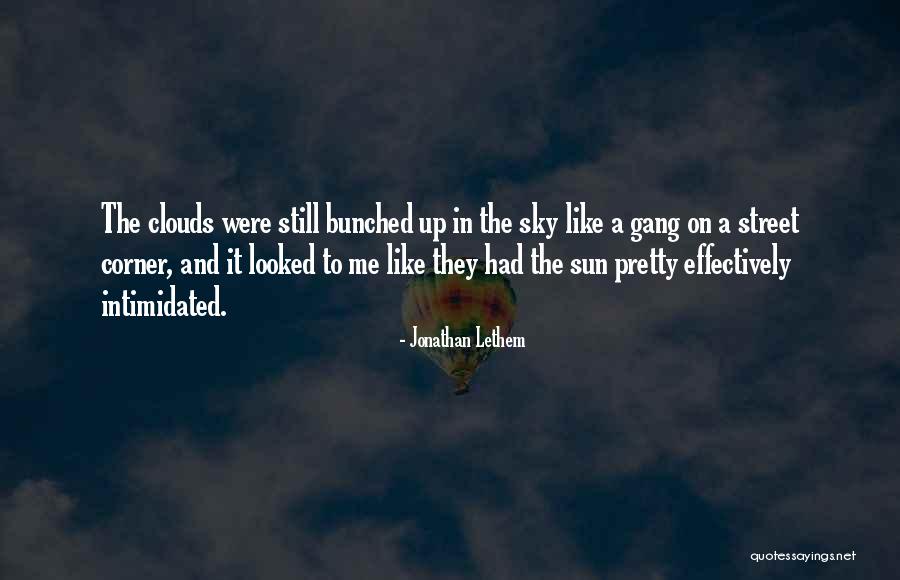 A Pretty Sky Quotes By Jonathan Lethem