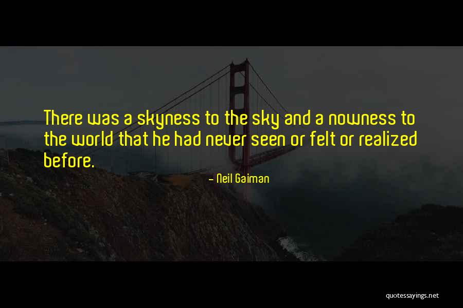 A Pretty Sky Quotes By Neil Gaiman