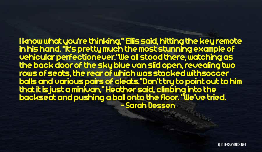A Pretty Sky Quotes By Sarah Dessen A Pretty Sky Quotes By Sarah Dessen