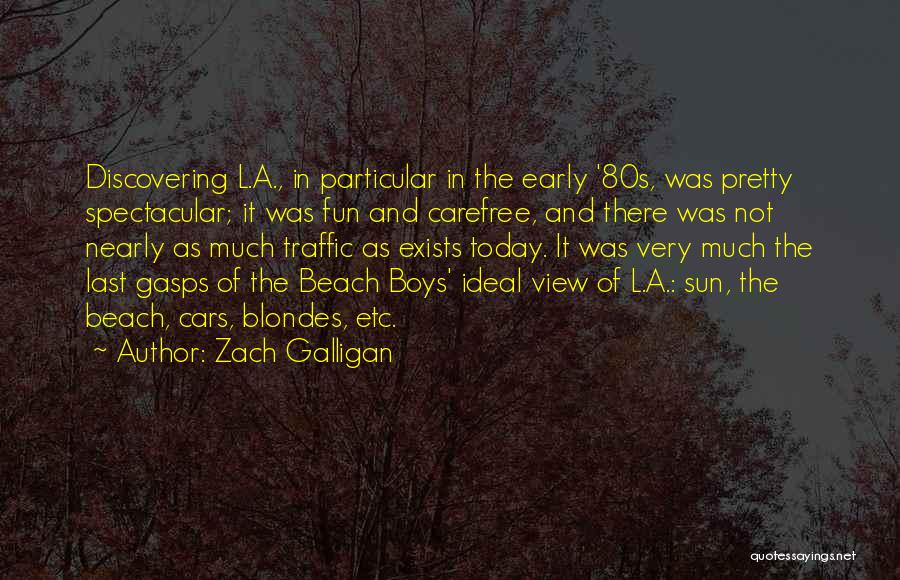 A Pretty View Quotes By Zach Galligan