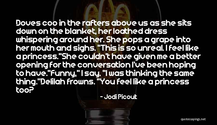 A Princess Quotes By Jodi Picoult A Princess Quotes By Jodi Picoult