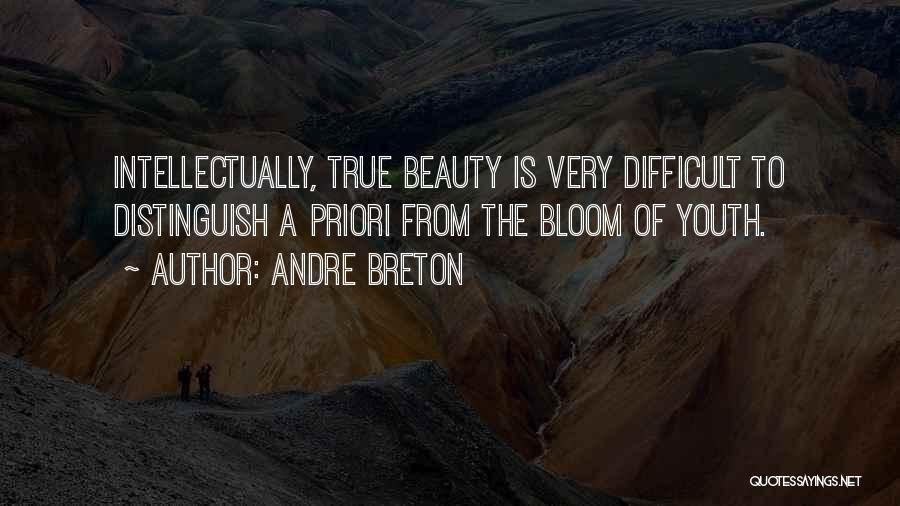 A Priori Quotes By Andre Breton