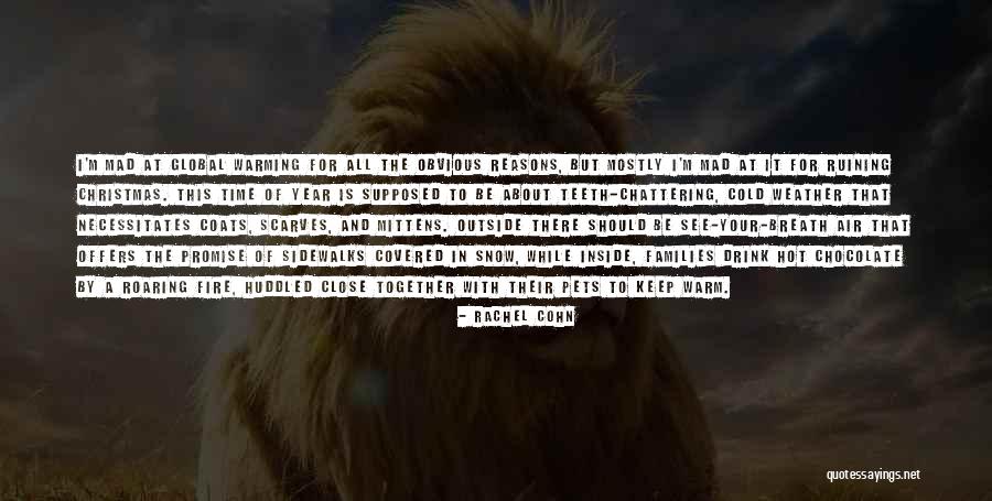 A Promise Of Fire Quotes By Rachel Cohn A Promise Of Fire Quotes By Rachel Cohn
