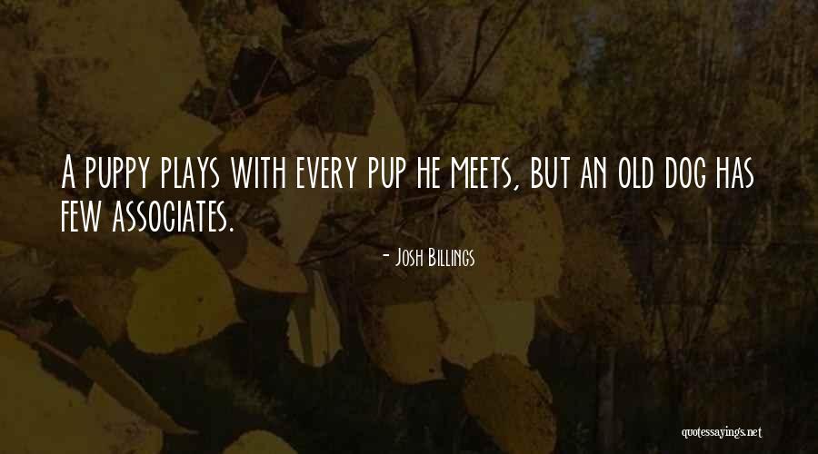 A Puppy Quotes By Josh Billings A Puppy Quotes By Josh Billings