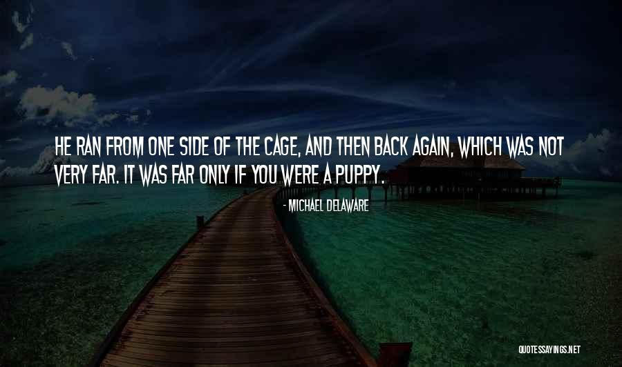 A Puppy Quotes By Michael Delaware A Puppy Quotes By Michael Delaware