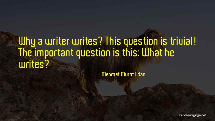 A Question Quote Quotes By Mehmet Murat Ildan A Question Quote Quotes By Mehmet Murat Ildan
