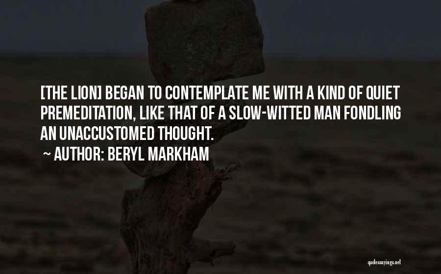 A Quiet Man Quotes By Beryl Markham