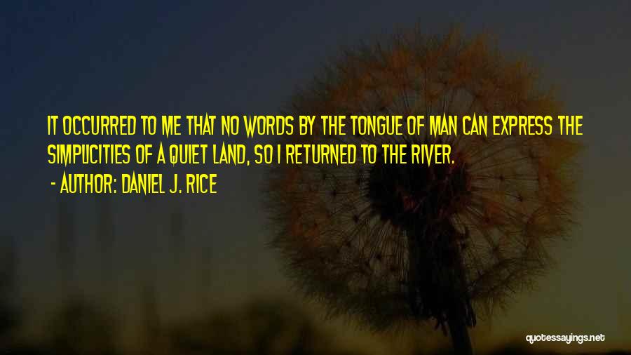 A Quiet Man Quotes By Daniel J. Rice