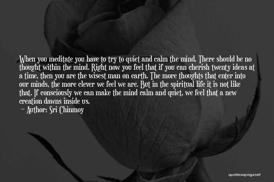 A Quiet Man Quotes By Sri Chinmoy