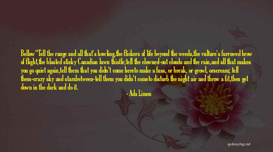 A Quiet Night Quotes By Ada Limon