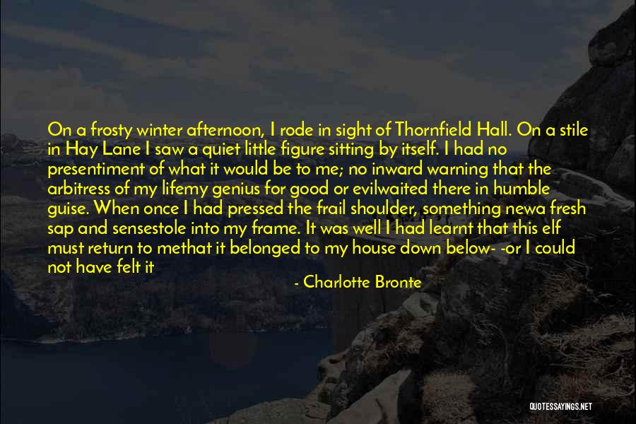 A Quiet Night Quotes By Charlotte Bronte