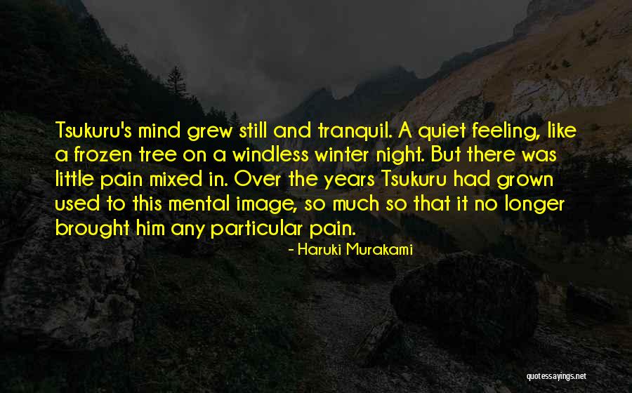 A Quiet Night Quotes By Haruki Murakami