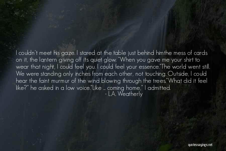 A Quiet Night Quotes By L.A. Weatherly