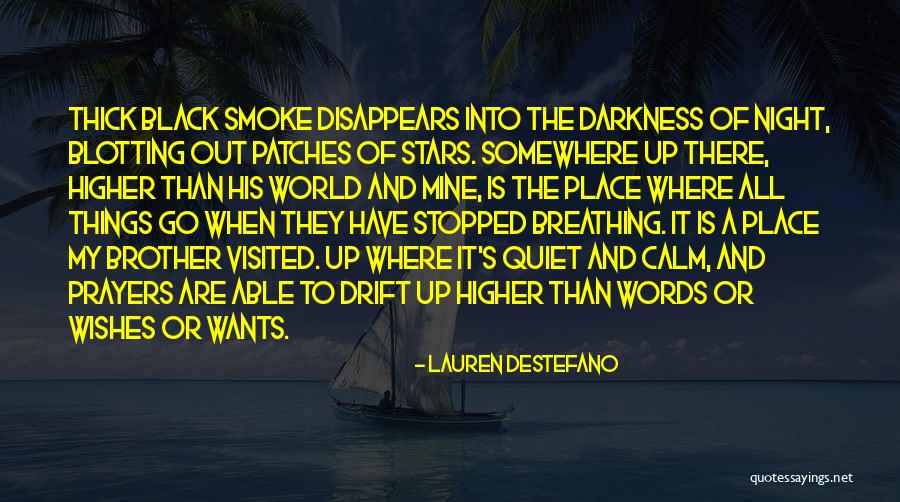 A Quiet Night Quotes By Lauren DeStefano