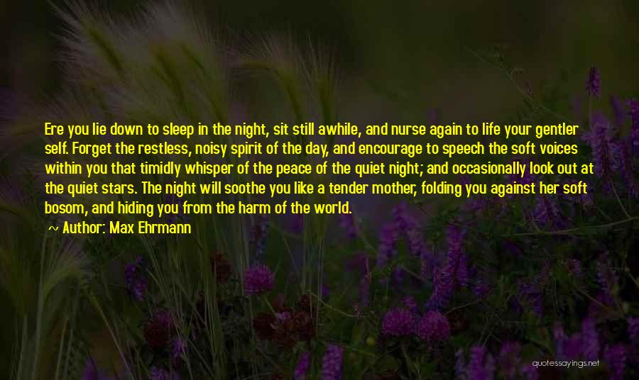 A Quiet Night Quotes By Max Ehrmann