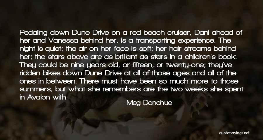 A Quiet Night Quotes By Meg Donohue